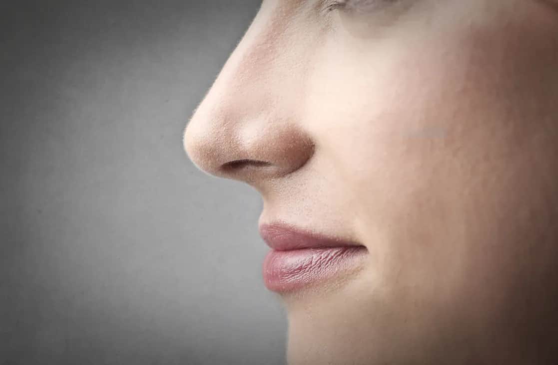 Septoplasty Procedure: Side profile of the nose of a young woman